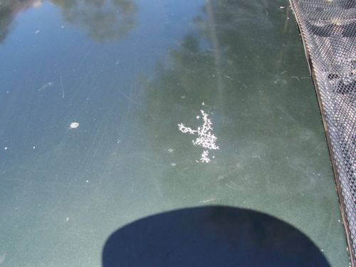 Porsche 914-4 1976 Special Edition, image 10