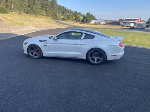 2017 Ford Mustang GT Saleen #17, US $45,000.00, image 11