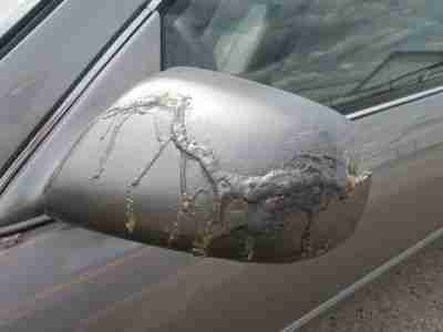 Ride and Drive Economical Low Reserve Low miles Automatic Front Wheel Drive, image 9