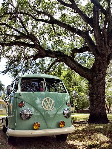 1964 vw kombi... zero rust, daily driving beauty