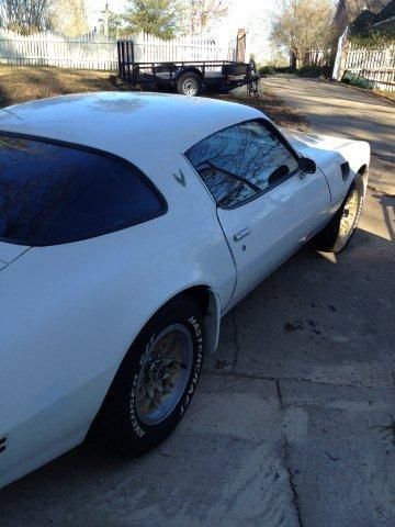 1979 pontiac firebird trans am coupe 2-door 6.6l