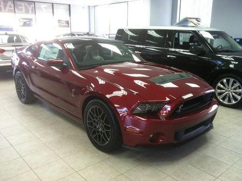 2014 ford mustang shelby gt500