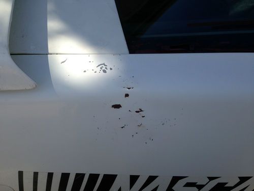 1983 PontiacTrans Am 25th Anniversary Daytona 500 Pace Car, image 7