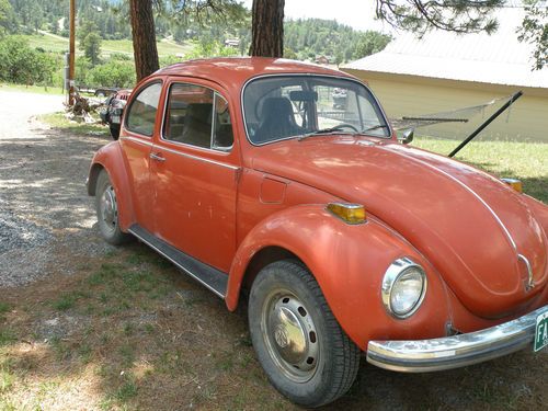 Rust free '71 vw superbeeetle