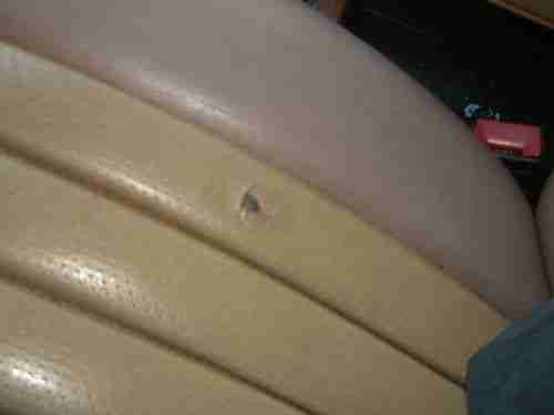 1985 Mercedes 300TD Eurostyle Estate Wagon with LoveCraft WVO Conversion, image 19