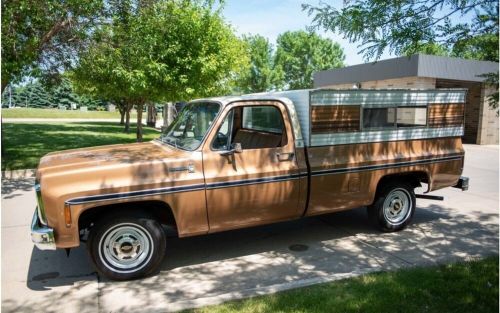 1980 chevrolet c-10