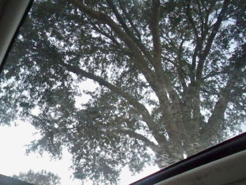 2005 CHRYSLER 300C,HEMI V8,SUNROOF,NAV,HEATED SEATS,LEATHER,LOOK $99 NO RESERVE, image 42