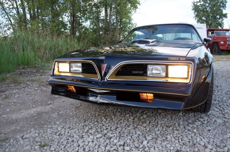 1977 pontiac trans am se y81