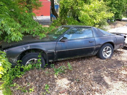 Two 1980's pontiac firebird project cars