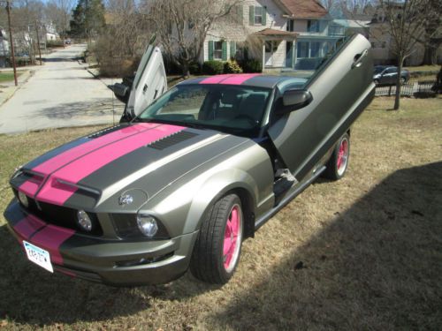 05 mustang custom paint