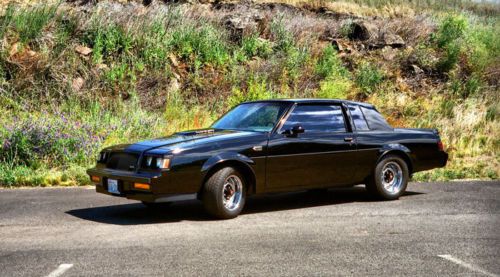 1987 buick grand national