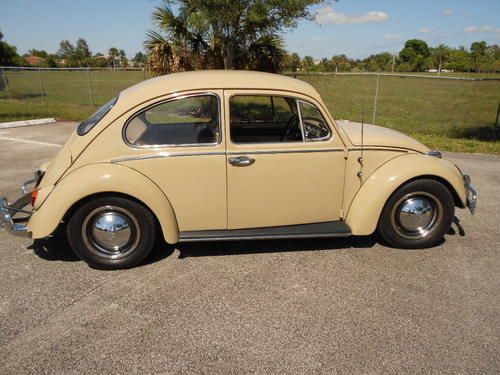 1965 volkswagen beetle coupe