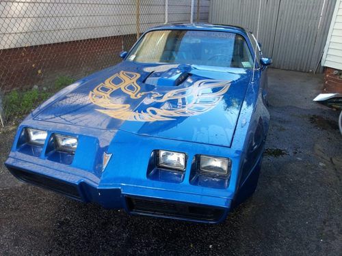 1981 pontiac trans am