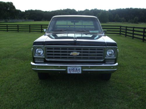 Perfect 1976 Chevy Scottsdale, image 10