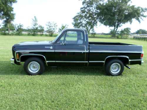 Perfect 1976 Chevy Scottsdale, image 17