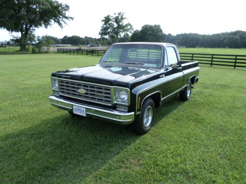 Perfect 1976 Chevy Scottsdale, image 24
