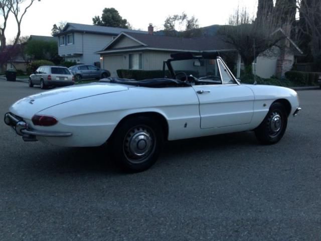 1967 alfa romeo spider