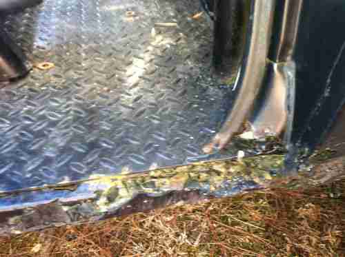 1979 International scout ii, image 8