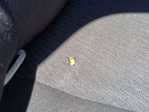 2011 Chevrolet Silverado 1500, US $6,999.99, image 35