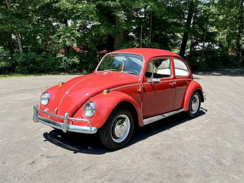 1967 volkswagen bug