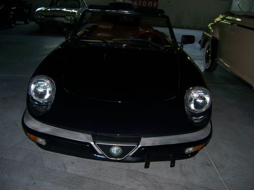 1983 alfa romeo spider