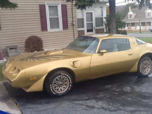 1979 pontiac firebird trans am coupe 2-door 4.9l