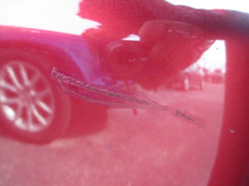 2008 Toyota Corolla 4dr Sdn, image 25