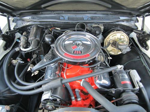 1969 Chevrolet Chevelle SS 396   ALL MATCHING NUMBERS, image 6