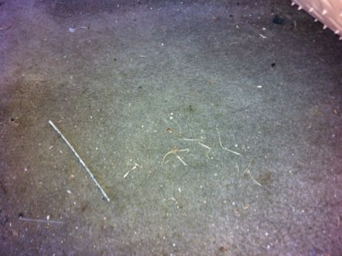 2005 Chevrolet Silverado 1500 LS CREW Cab 4x4 Z71 RUNS GREAT!, image 14