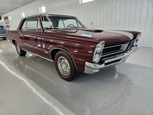 1965 pontiac gto