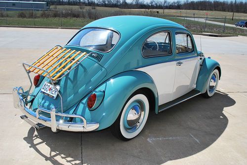 Beautiful california beetle - classic