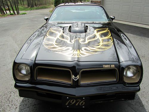 1976 trans am 50th anniversary tribute