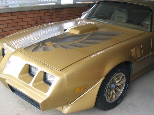 1980 gold trans am, mint condition