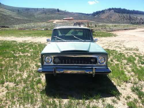 1975 Jeep Wagoneer, image 3
