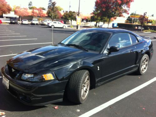 2003 Terminator Mustang