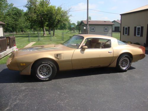 1979 pontiac firebird trans am coupe 2-door 6.6l