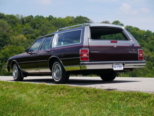 1989 Chevrolet Caprice Classic Wagon, image 3