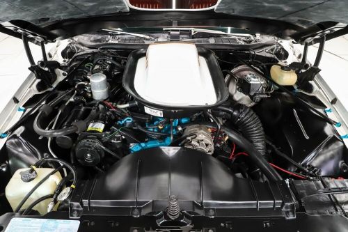 1977 pontiac le mans can am