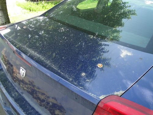2006 Dodge Charger - RWD 4 Door Sedan – Ex Police Car, image 7