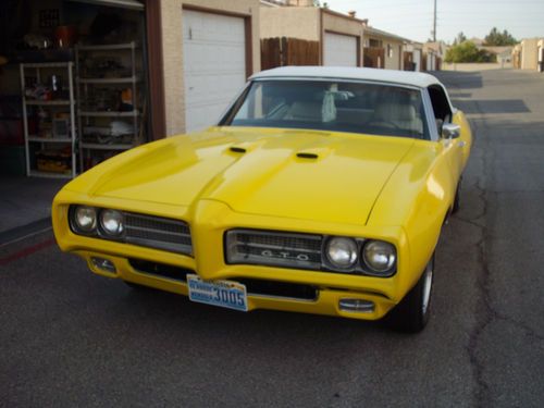 Born to ride - 1969 gto convertible!!