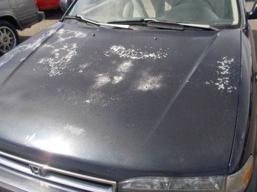 1991 Honda Accord  NO RESERVE, image 10