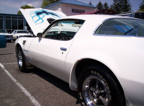 1975 pontiac trans am (all original car)