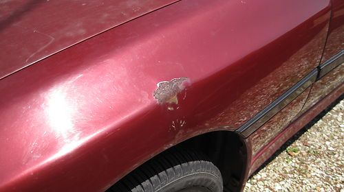 1988 Toyota Supra Turbo Hatchback 2-Door 3.0L, image 4