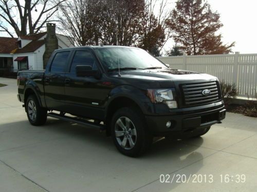 2012 ford f-150 fx4