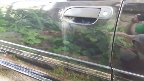 1989 Ford Taurus SHO ** Barn Find ** 3.0 Yamaha V6 DOHC 5sp Manual NO RESERVE!, image 18