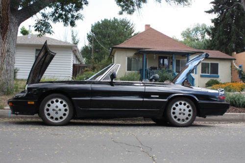 1987 Alfa Romeo Spider Graduate Convertible 2-Door 2.0L, US $7,800.00, image 17