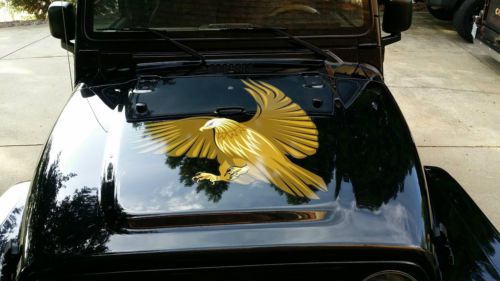 2006 JEEP WRANGLER SPORT GOLDEN EAGLE SPECIAL EDITION, image 20