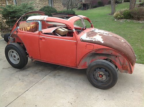 73 beetle project