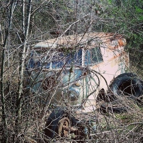 1967 VW Panel Bus, Volkswagen Type 2 OG paint with BBQ restaurant graphics,, image 4