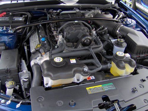 2009 Ford Shelby GT500 w/ White Painted stripes!, image 3